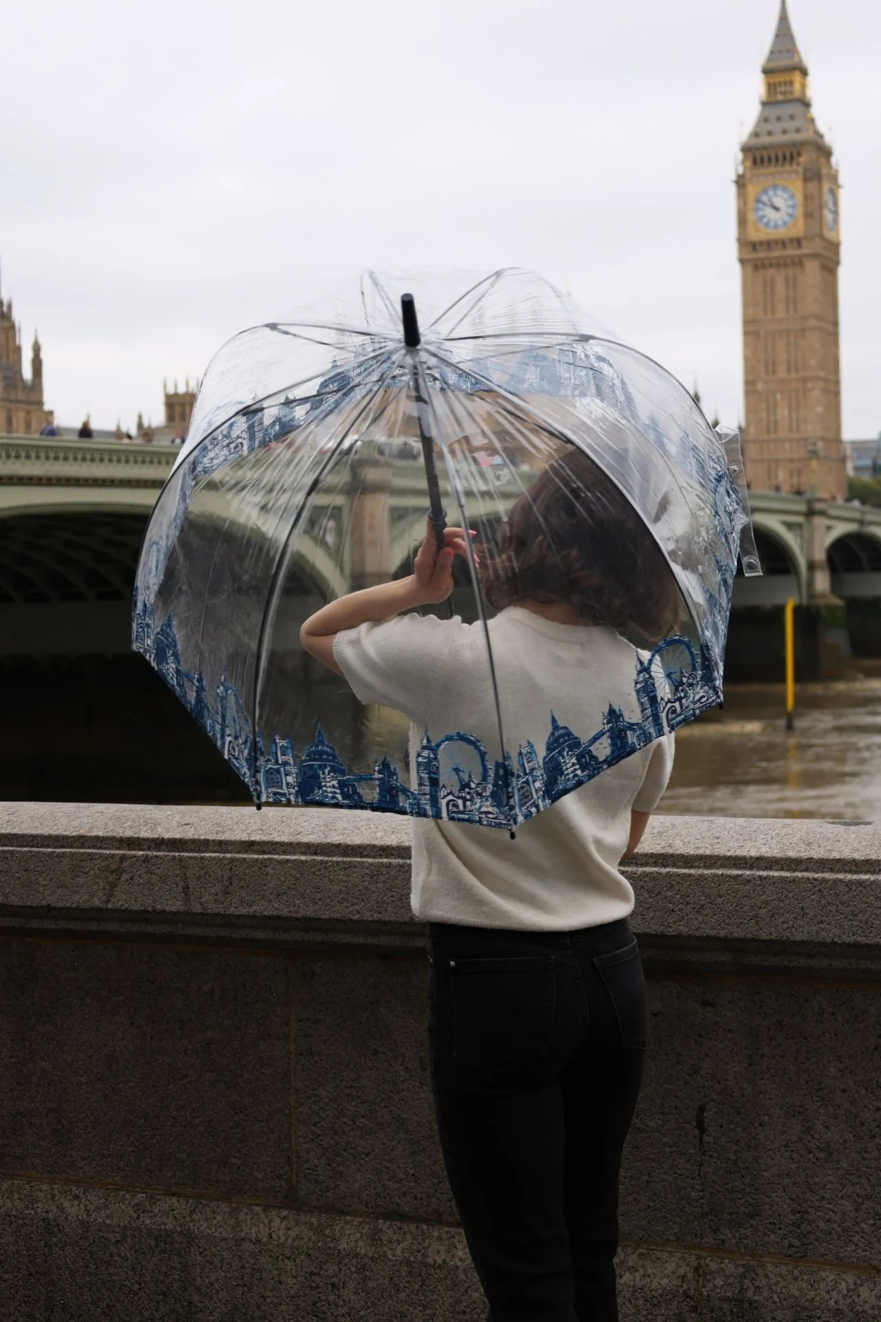 Birdcage® 2 - London Icons - Image 5