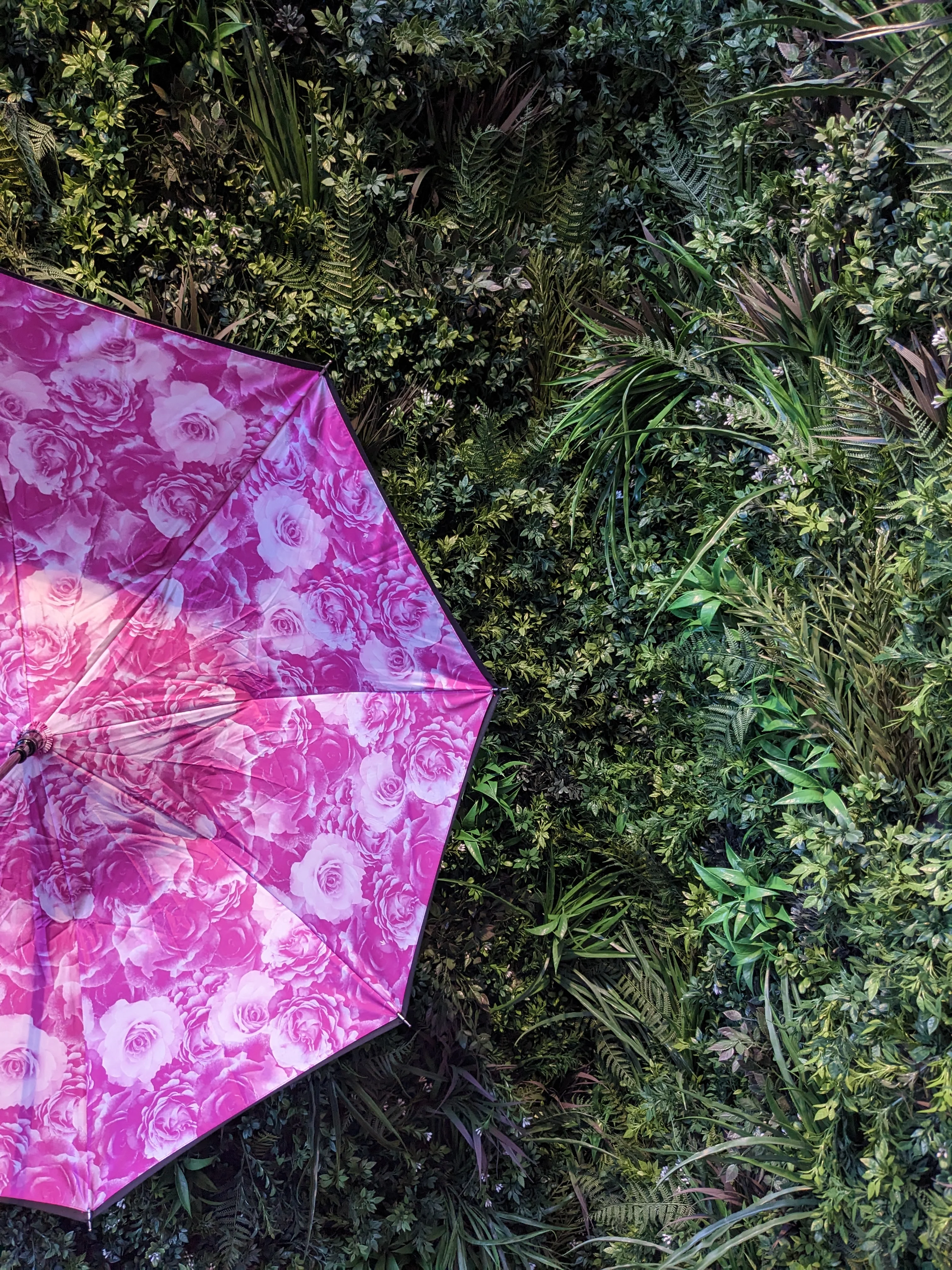 Bloomsbury 2 UV - Neon Floral - Image 5