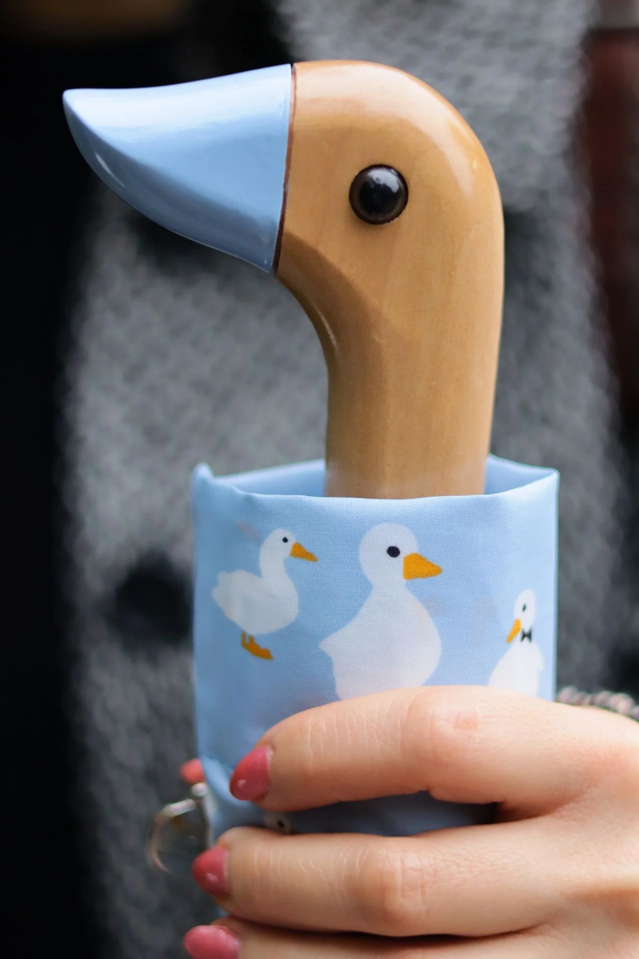 Curio 2 UV - Blue Duck - Image 9