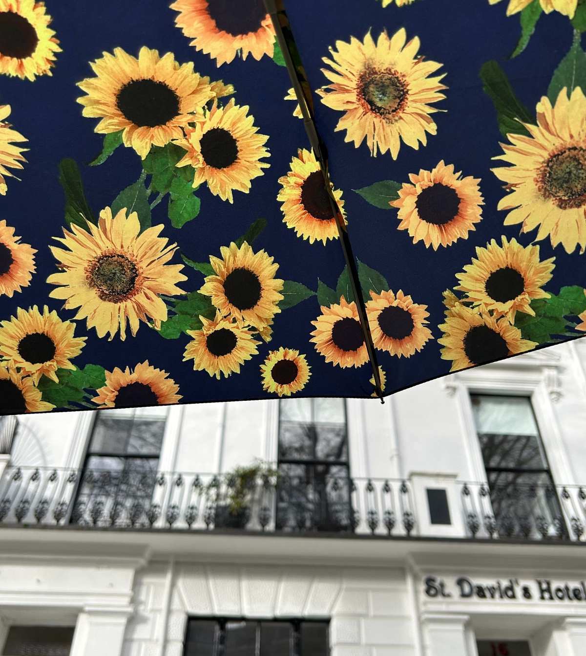 Minilite 2 - Sunflower - Image 4