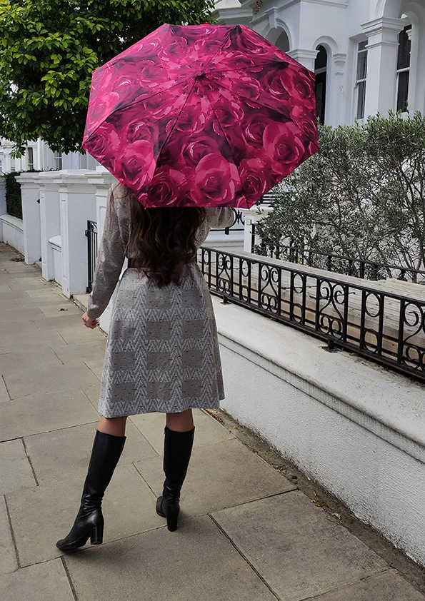 Open & Close - Photo Rose - Image 7