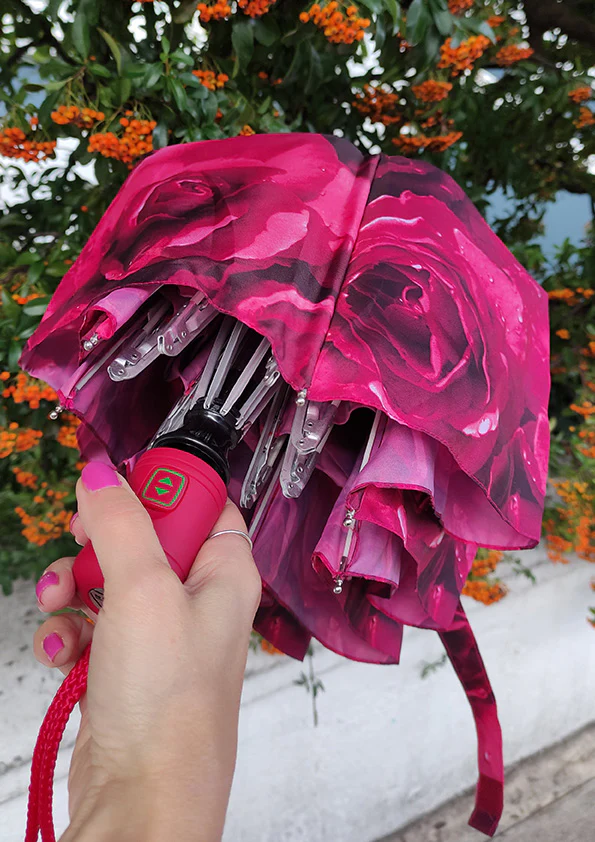 Open & Close - Photo Rose - Image 8