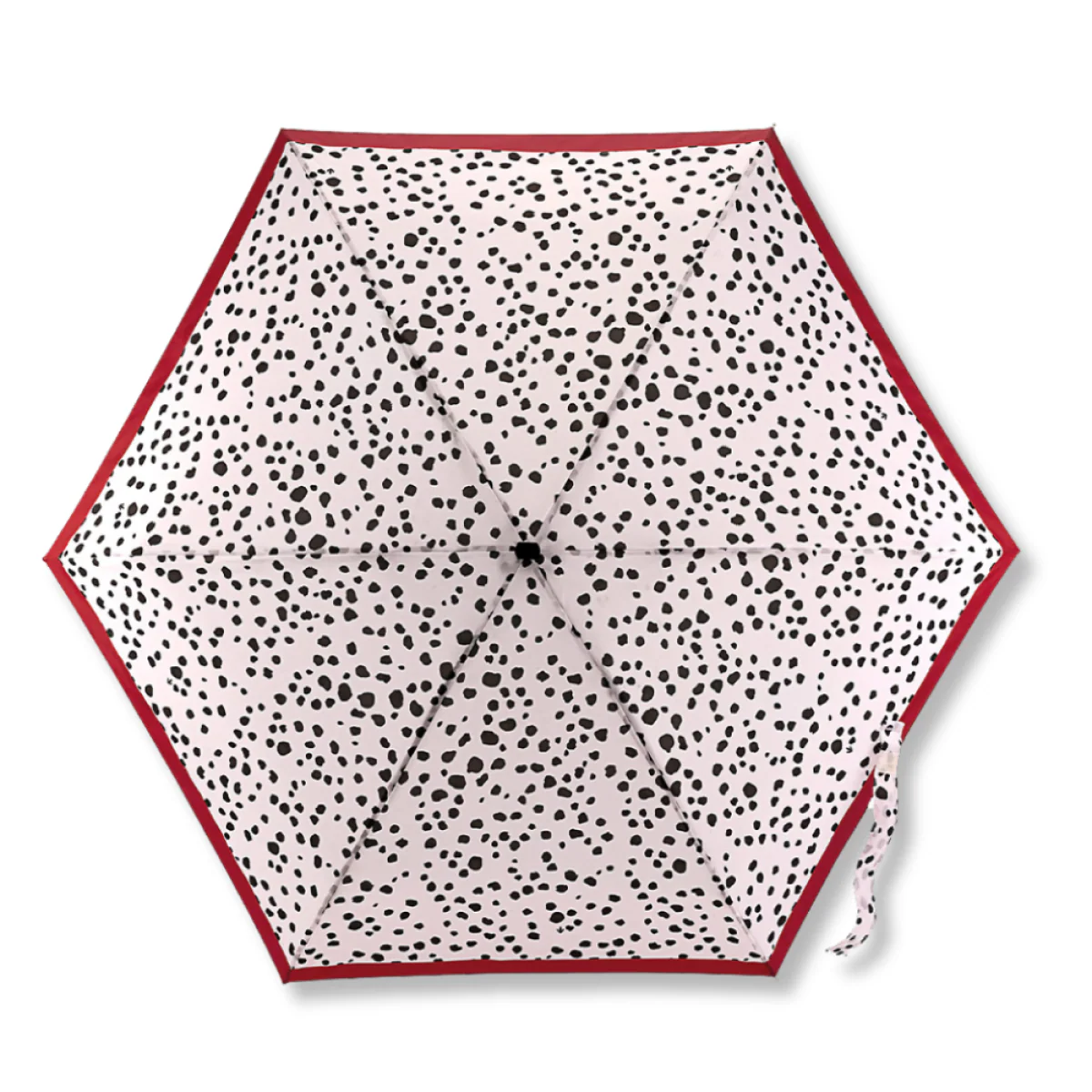 Tiny 2 - Dalmatian - Image 2