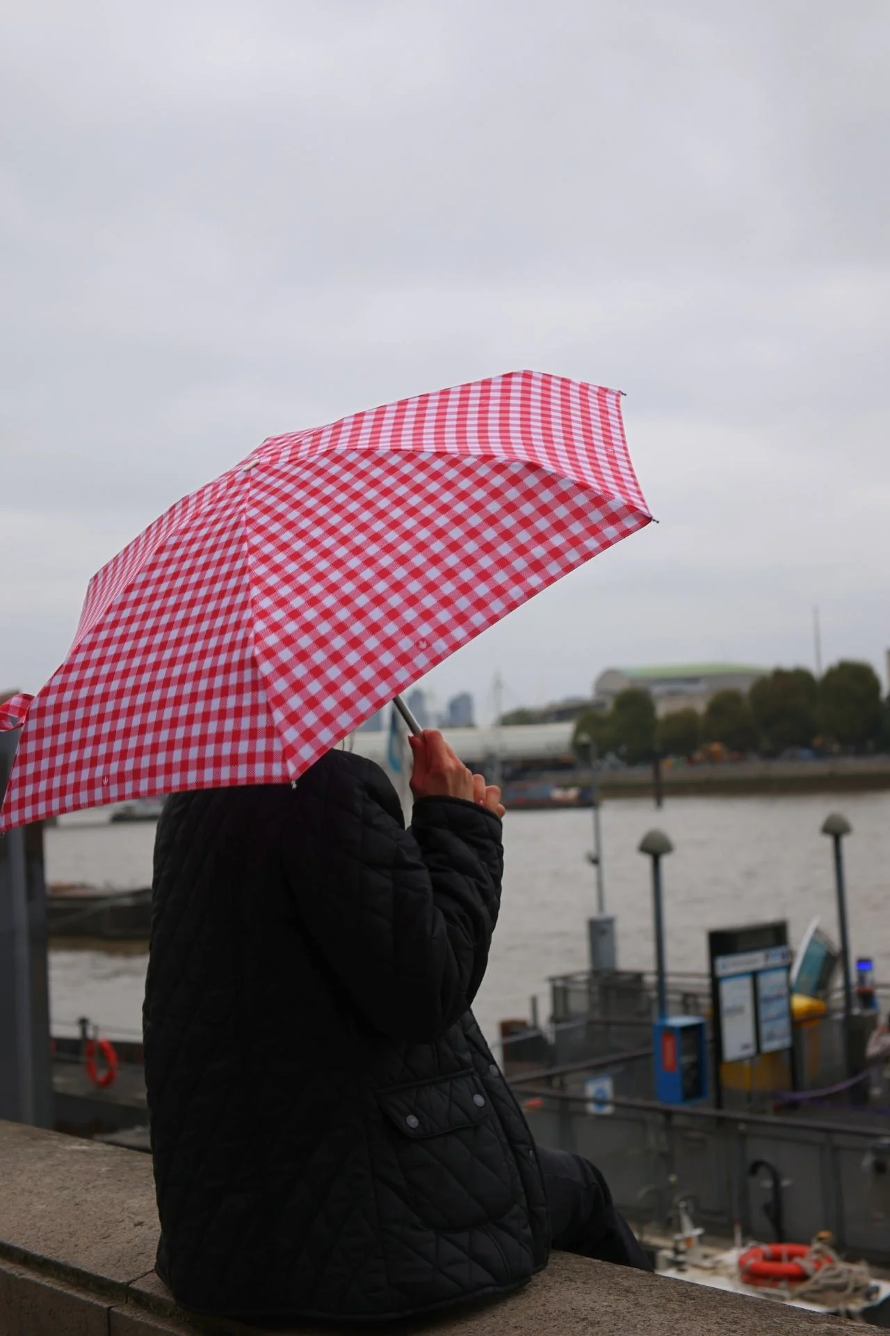 Tiny 2 - Red Gingham - Image 10