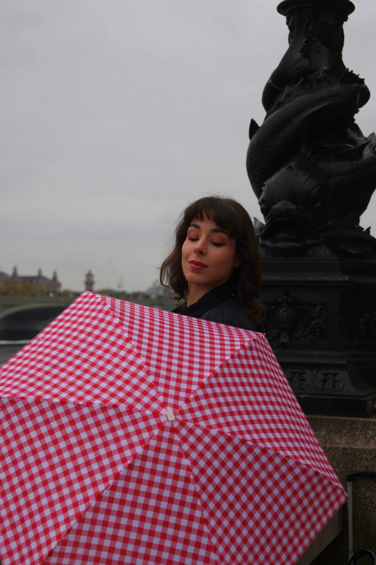 Tiny 2 - Red Gingham - Image 11
