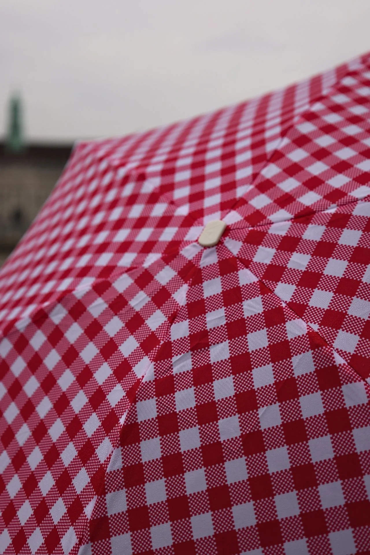 Tiny 2 - Red Gingham - Image 12