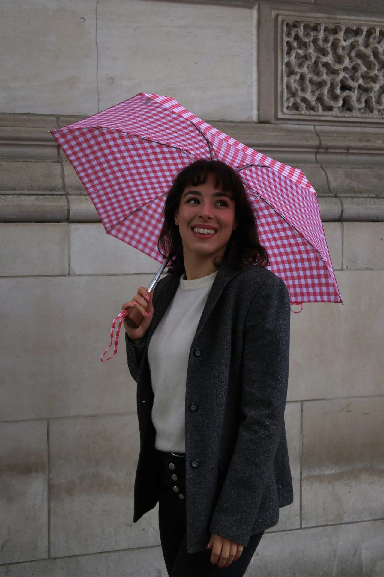 Tiny 2 - Red Gingham - Image 16