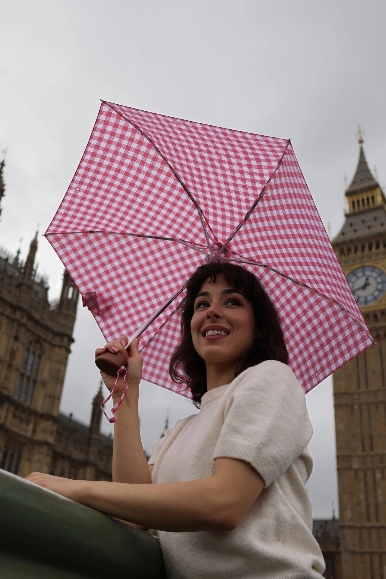 Tiny 2 - Red Gingham - Image 3