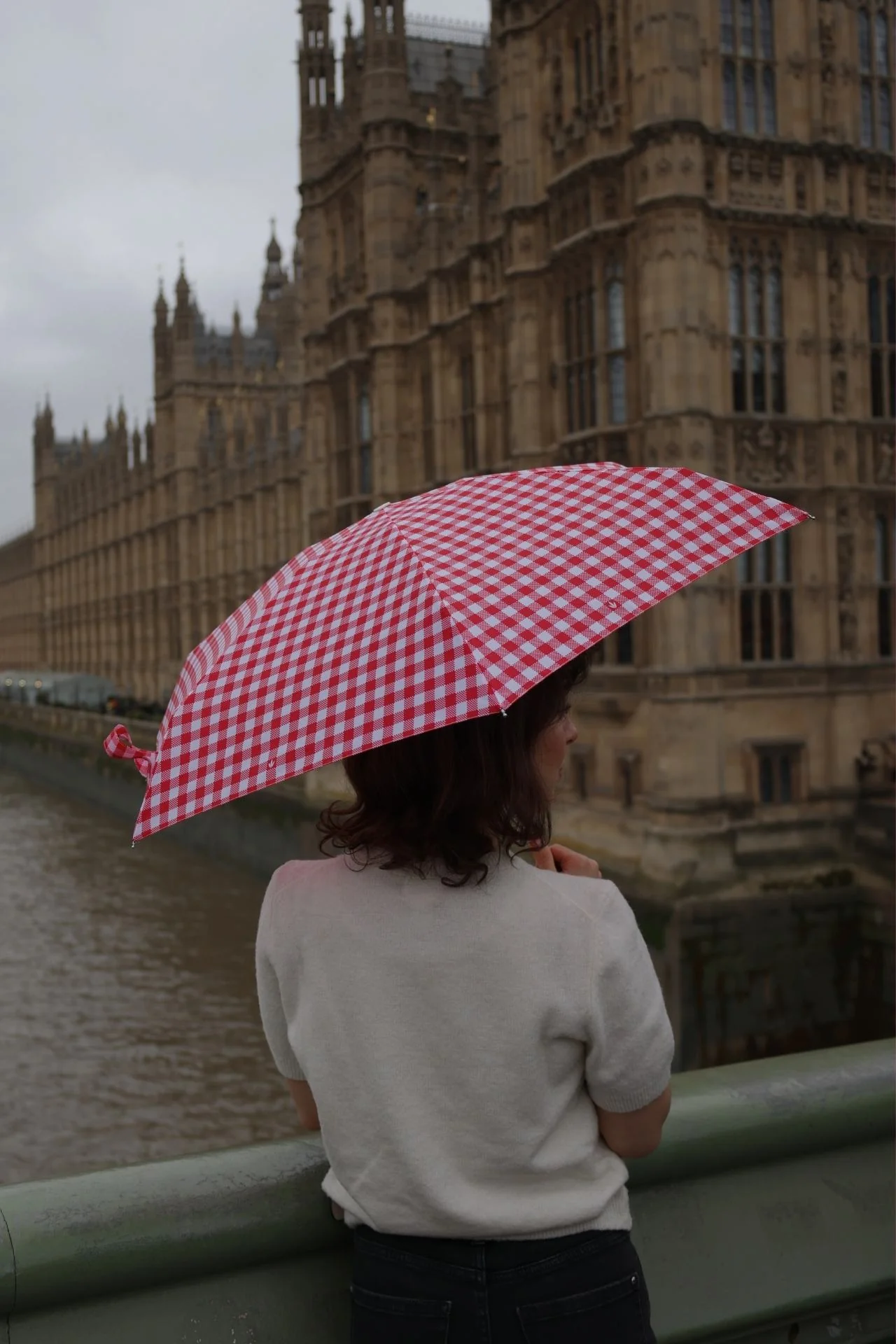 Tiny 2 - Red Gingham - Image 5