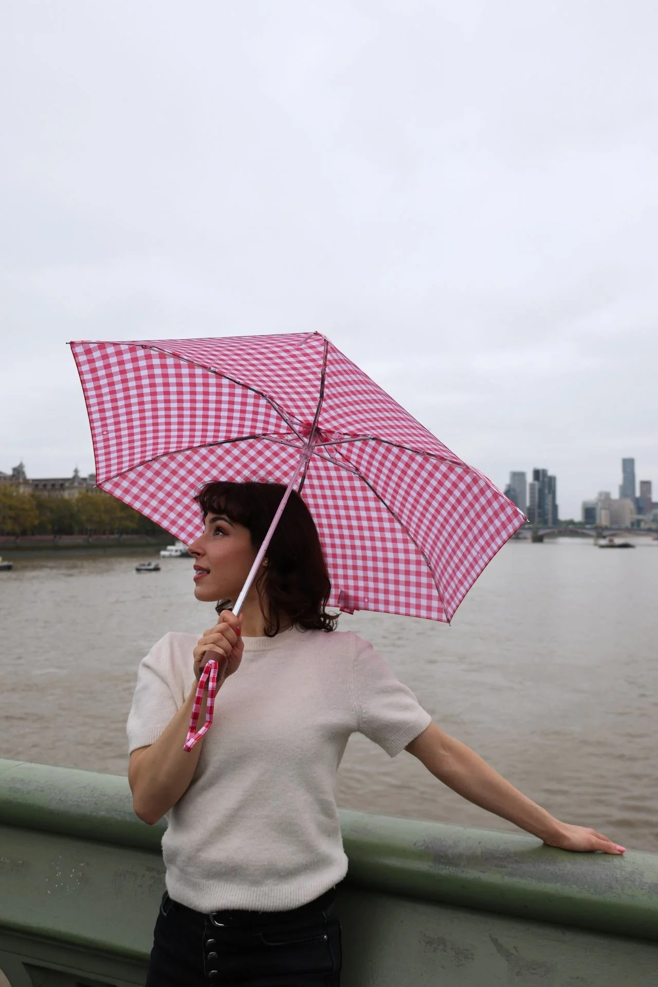 Tiny 2 - Red Gingham - Image 6