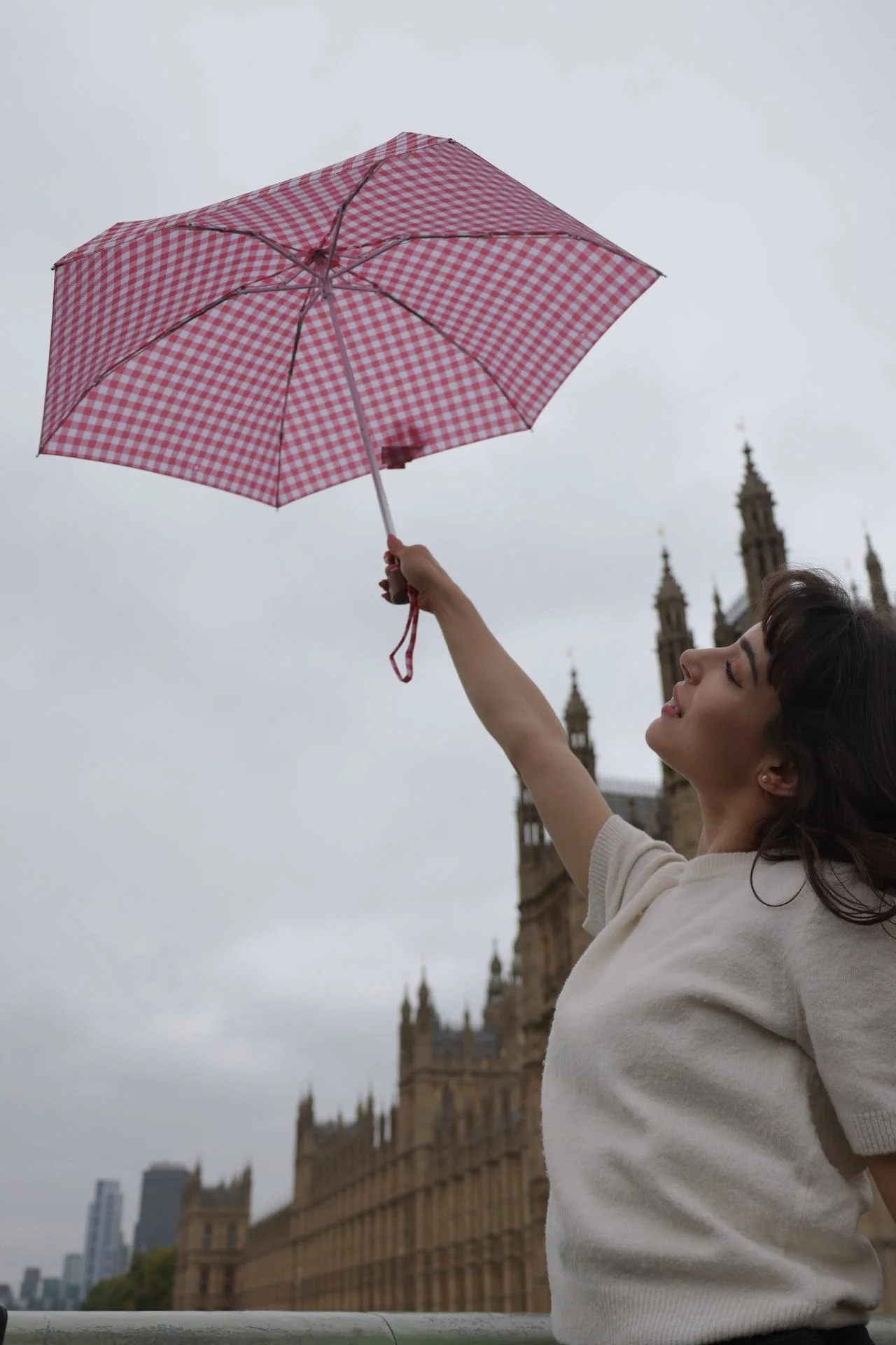 Tiny 2 - Red Gingham - Image 7