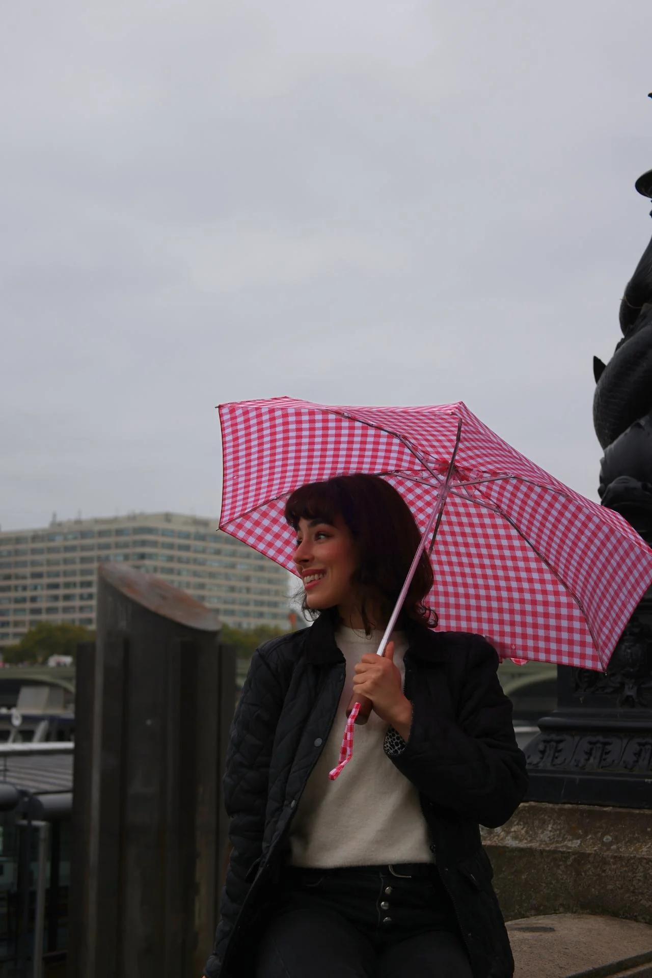 Tiny 2 - Red Gingham - Image 8
