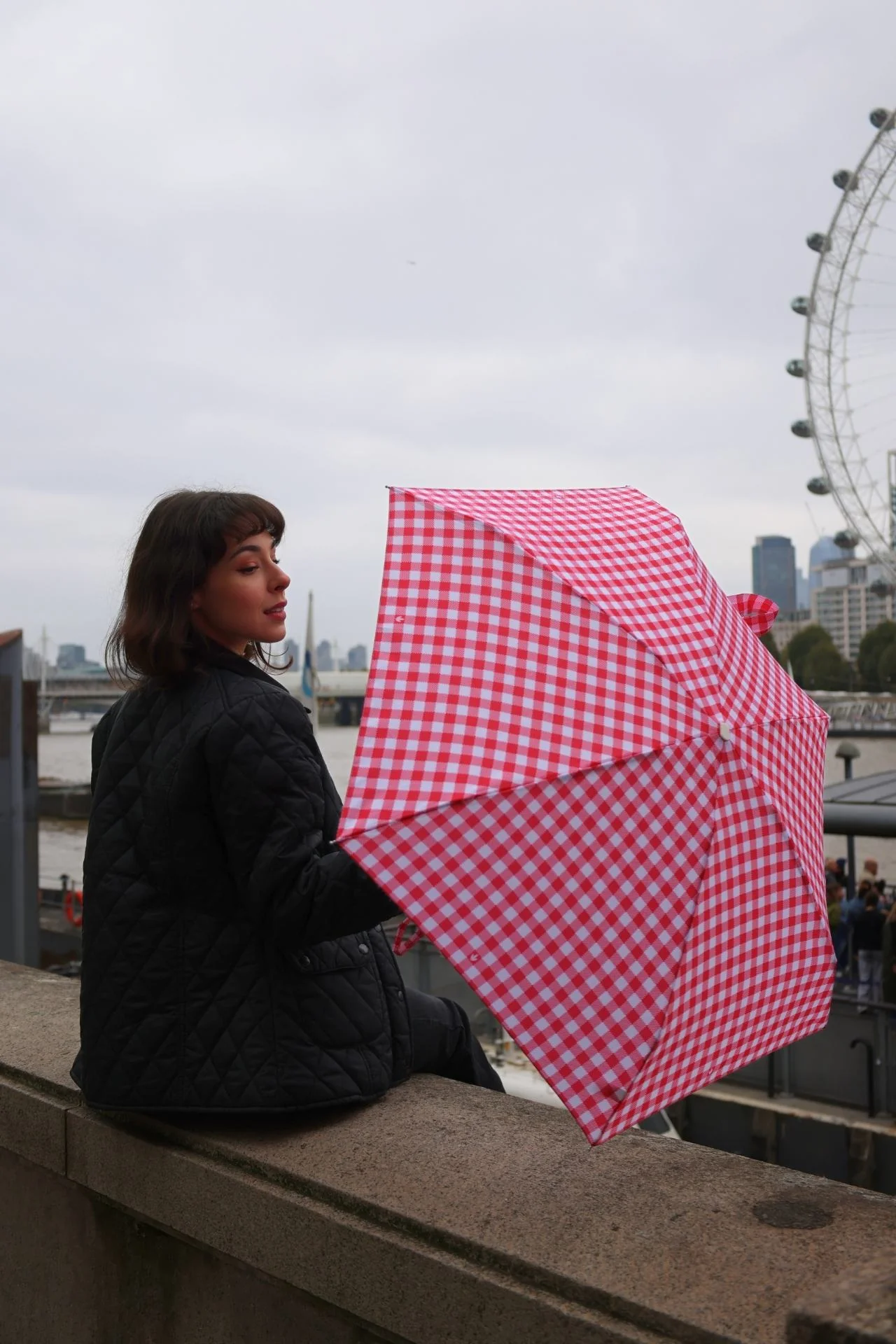Tiny 2 - Red Gingham - Image 9